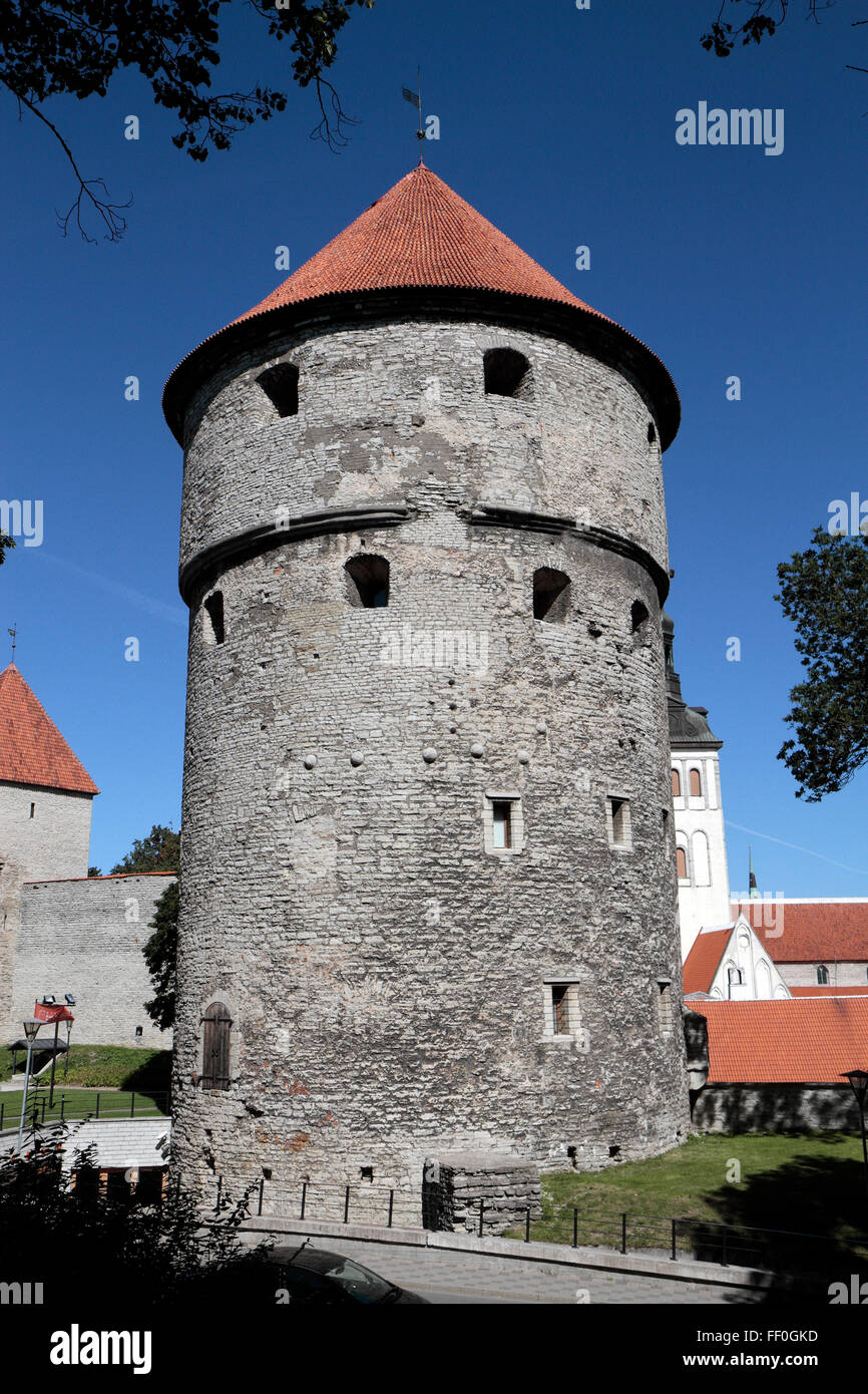 Il Kiek in de Kök torre (peep in cucina torre) a Tallinn in Estonia. Foto Stock