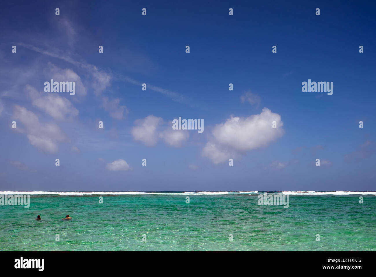 Nuotare nel mare tropicale Foto Stock