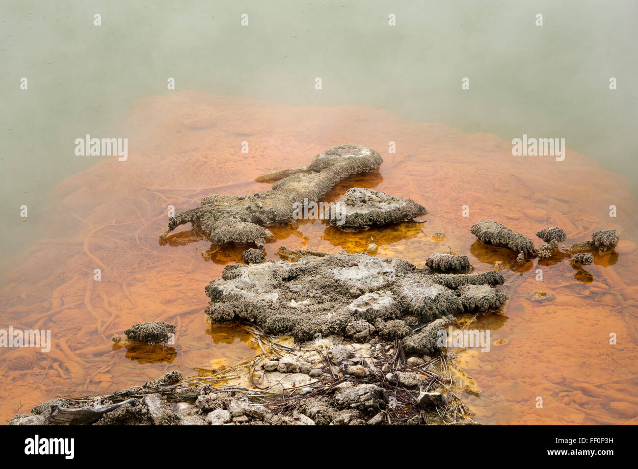 Lo Champagne è in piscina con 65 metri di diametro e 62 metri di profondità il più grande primavera calda nel Wai-O-Tapu area in Nuova Zelanda. Foto Stock