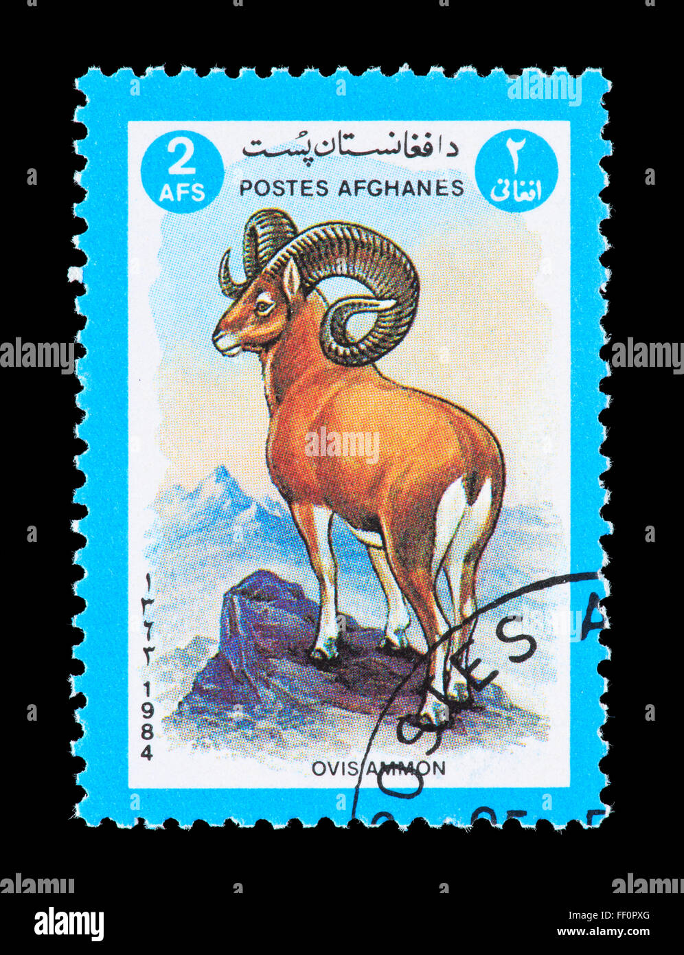 Francobolli Afghanistan raffigurante un argali (Ovis ammon) Foto Stock