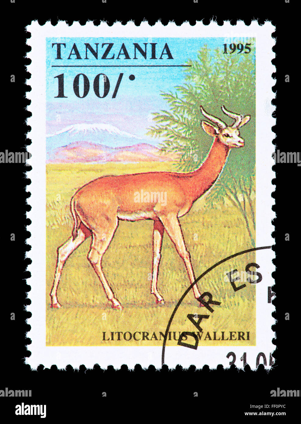 Francobollo dalla Tanzania raffigurante un Waller la gazzella o Gerenuk (Litocranius walleri). Foto Stock
