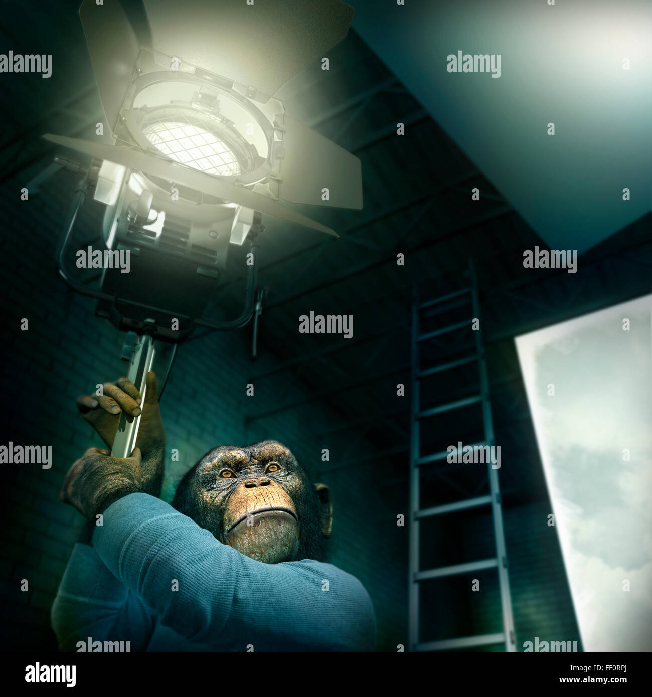 Monkey tenendo la luce in studio fotografico Foto Stock