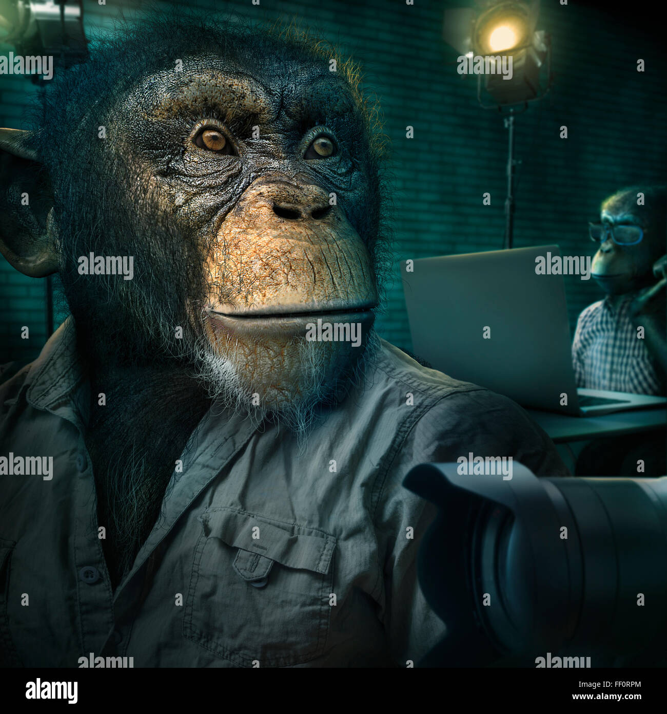 Monkey seduto accanto alla lente della videocamera Foto Stock