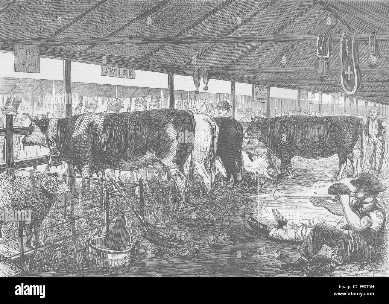 Londra Farm show, Battersea Park-Swiss Stalla 1862. Tempi illustrato Foto Stock