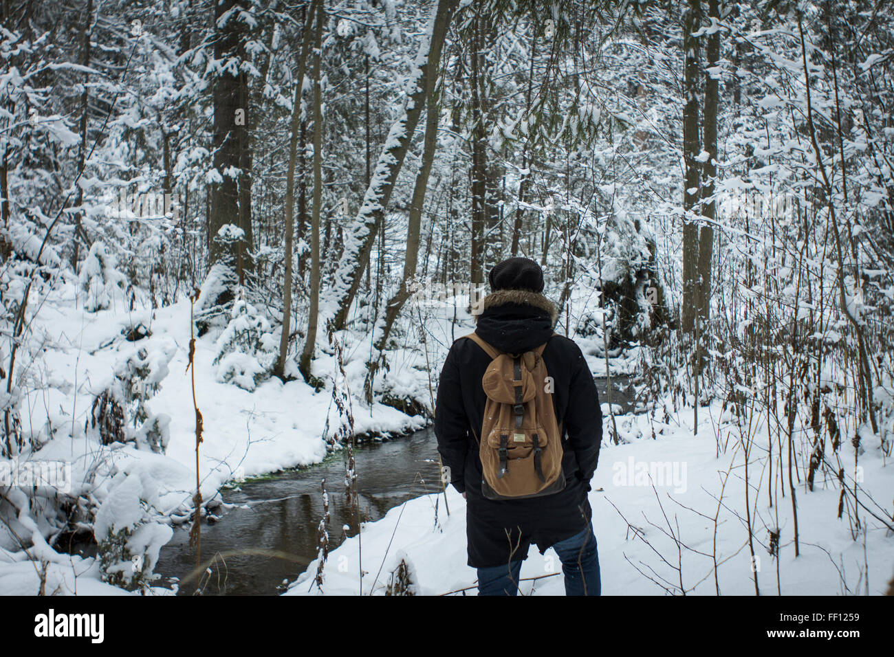 Escursionista caucasica passeggiate nel bosco innevato Foto Stock