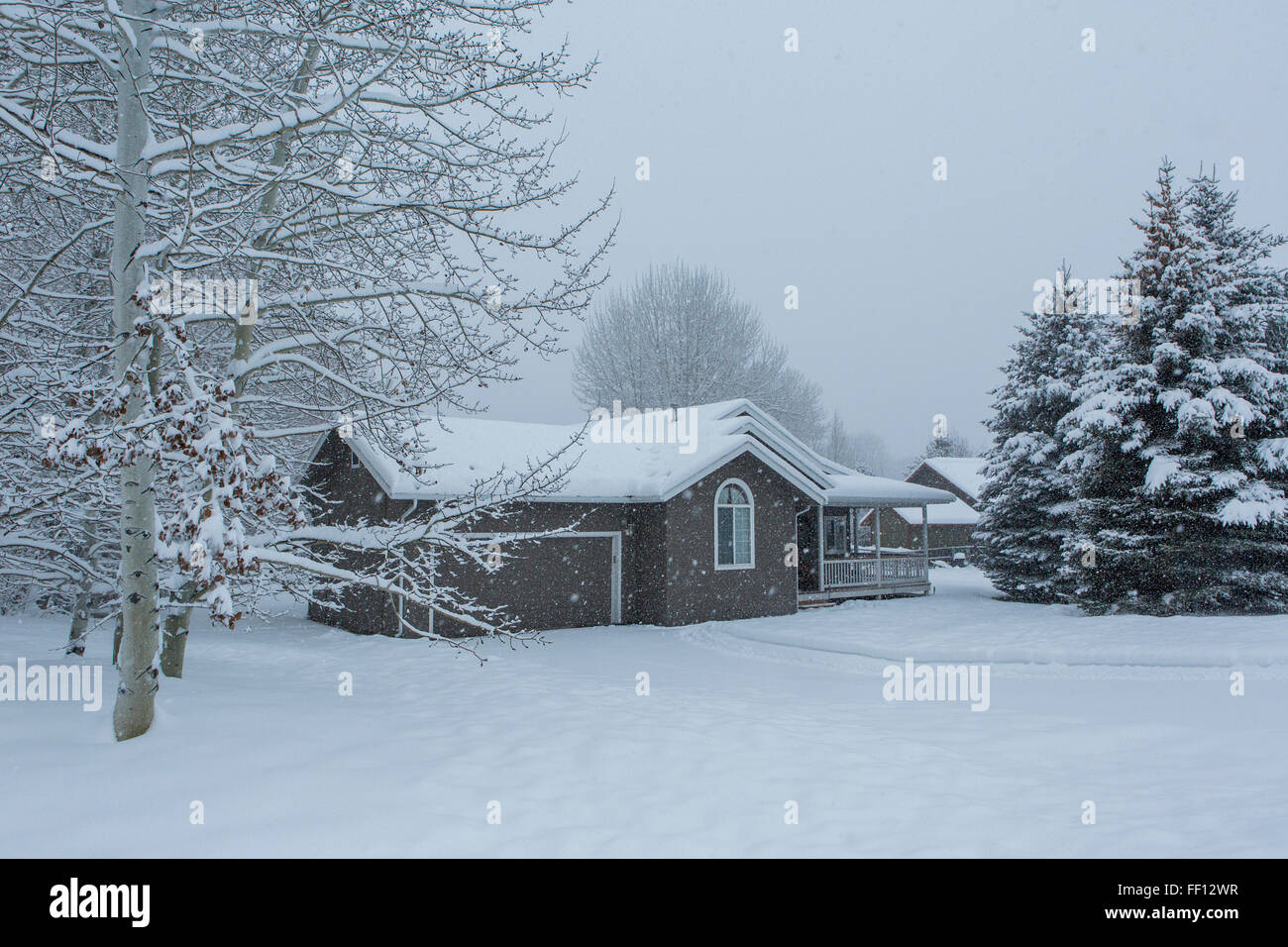 House e nevoso cortile anteriore Foto Stock