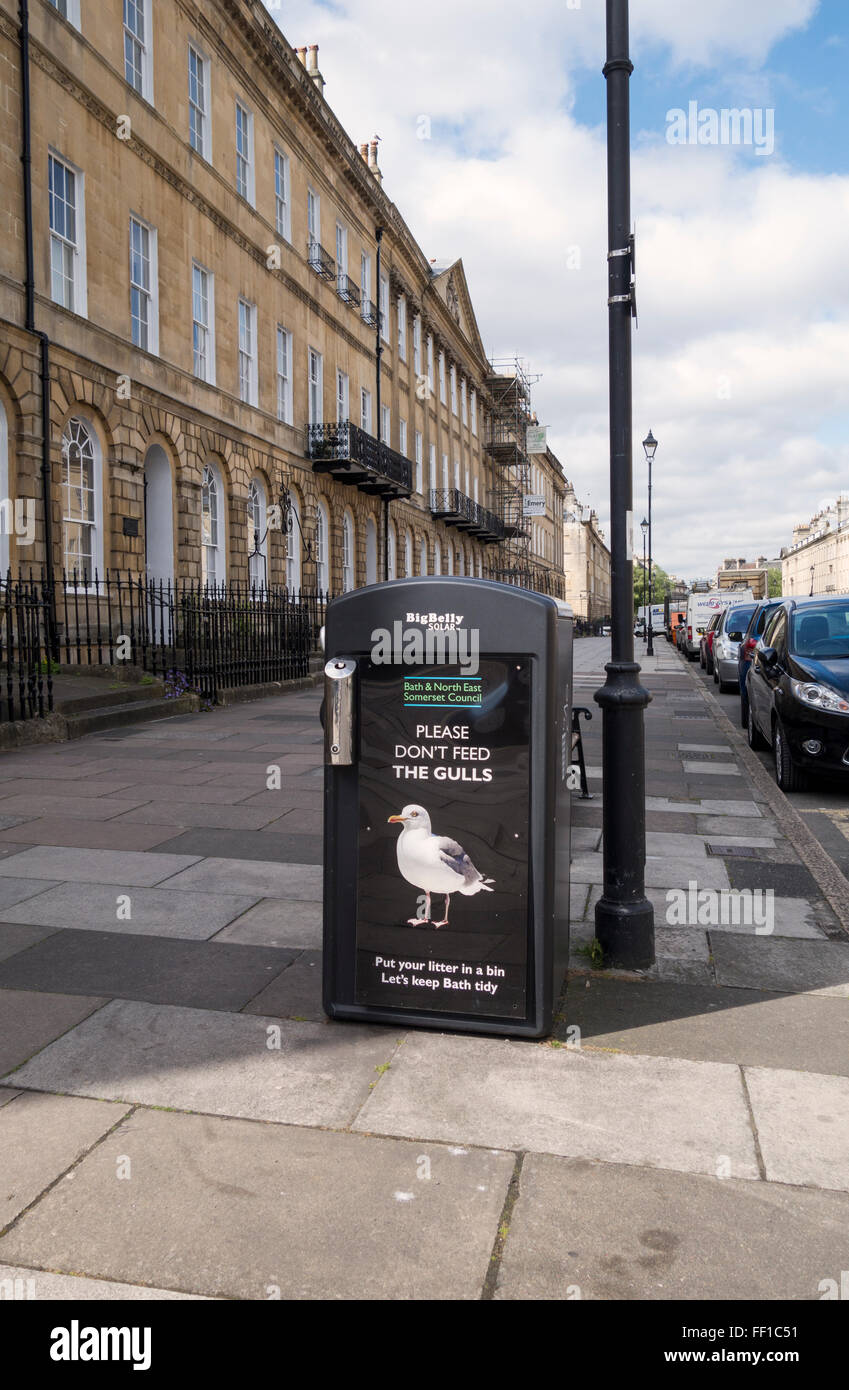 Non dare da mangiare al cestino dei gulls, Great Pulteney Street, Bath, England, UK Foto Stock