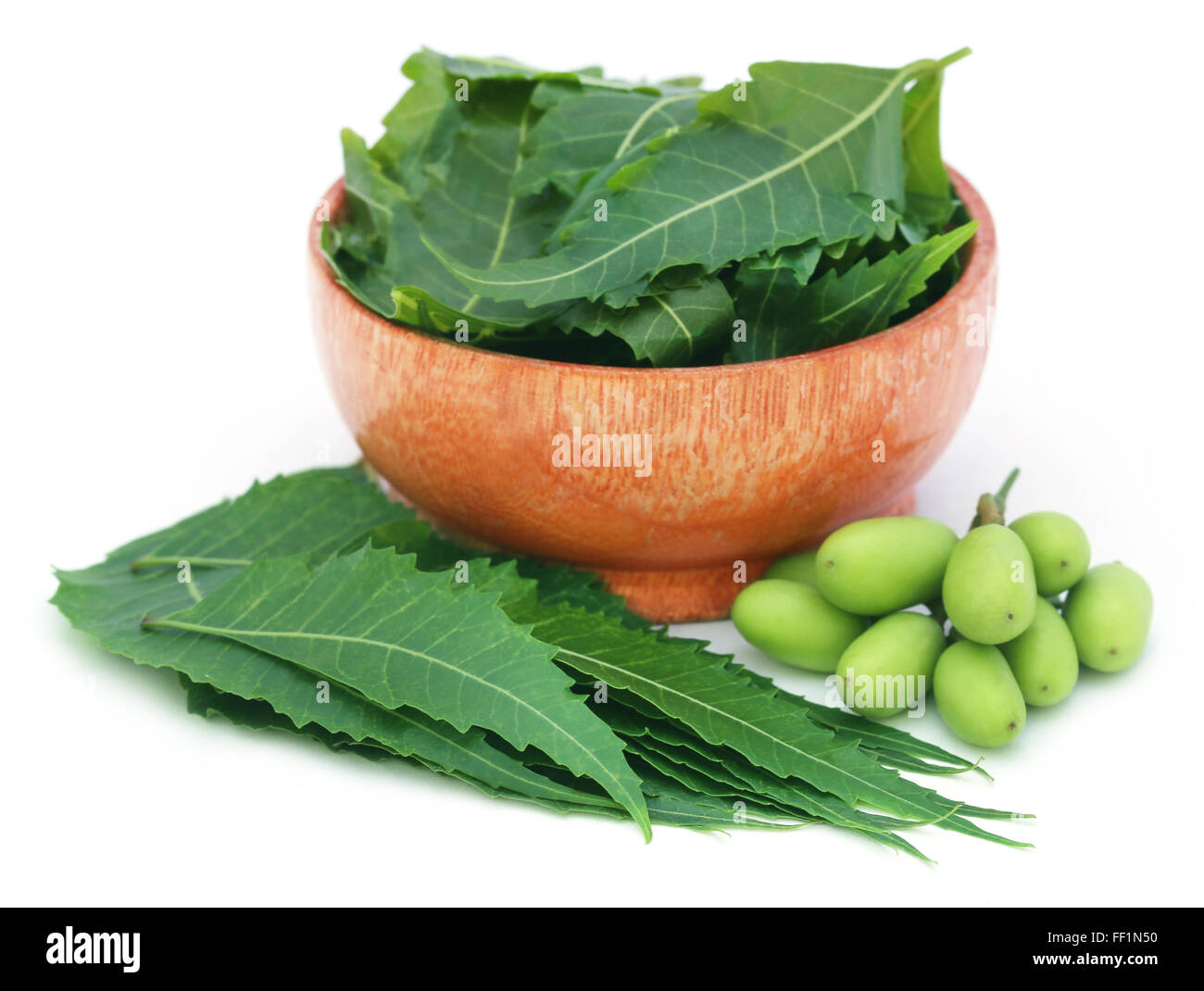 Neem medicinali i frutti con foglie in una ciotola su bianco backgrokund Foto Stock