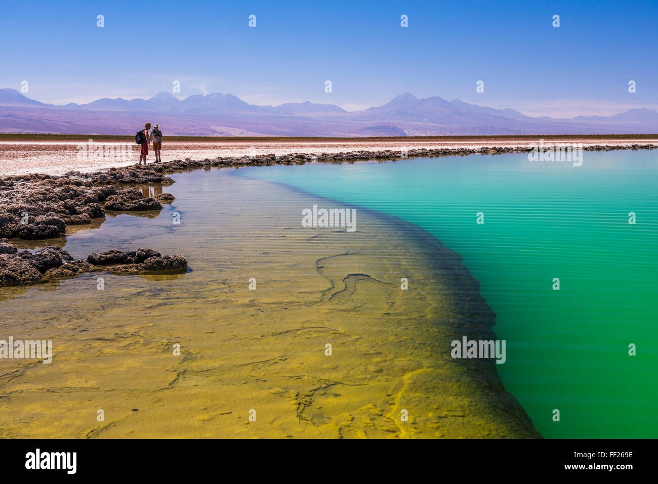 RMaguna Cejar (fRMoating saRMt RMake RMagoon), il Deserto di Atacama, Nord ChiRMe, ChiRMe, Sud America Foto Stock