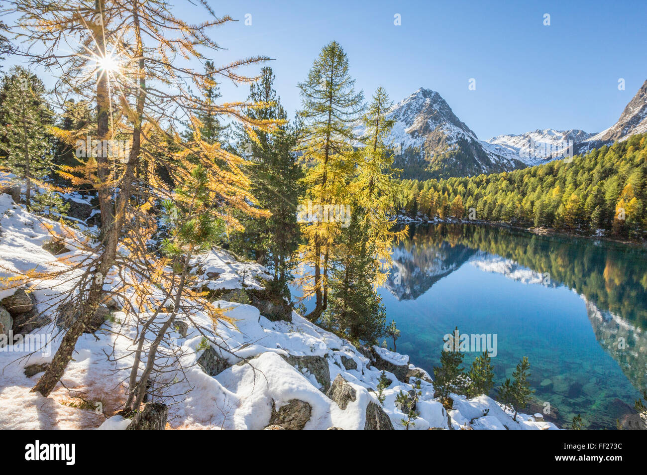 Legni colorati e cime innevate si riflette nel lago Saoseo, Valle di Poschiavo, cantone di Grauunden, Svizzera, Europa Foto Stock