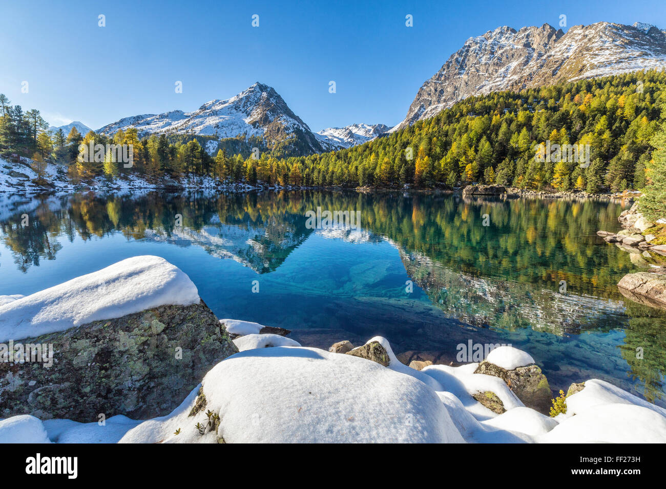 Legni colorati e cime innevate si riflette nel lago Saoseo, Valle di Poschiavo del Cantone dei Grigioni, Svizzera, Europa Foto Stock