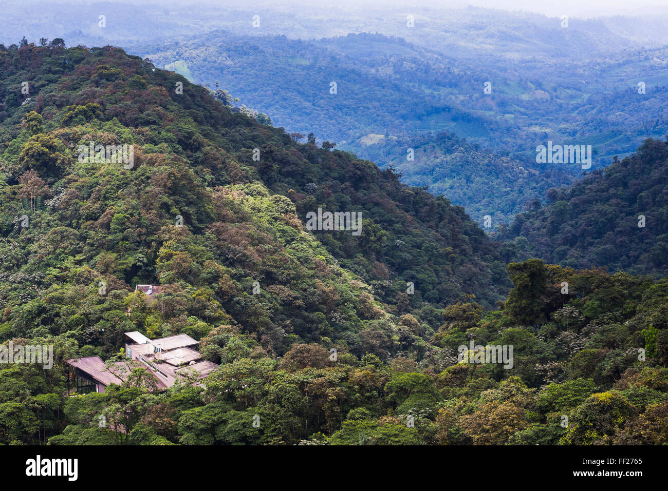 Mashpi RModge, Choco CRMoud foresta, una foresta pluviale del Pichincha Provincia di Ecuador, Sud America Foto Stock