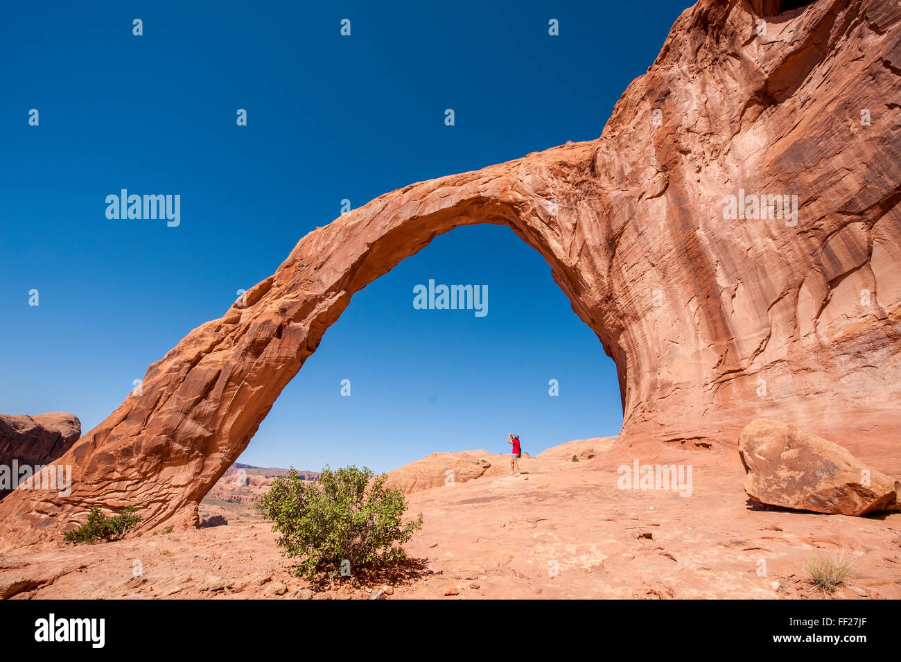 Arco di Corona, Moab, Utah, Stati Uniti d'America, America del Nord Foto Stock