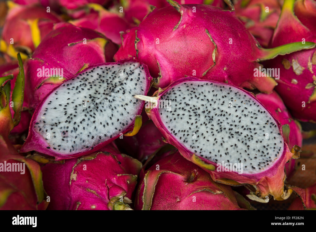 Pitaya frutti per la vendita al mercato del cacao, Guiana francese, Dipartimento di Francia, Sud America Foto Stock