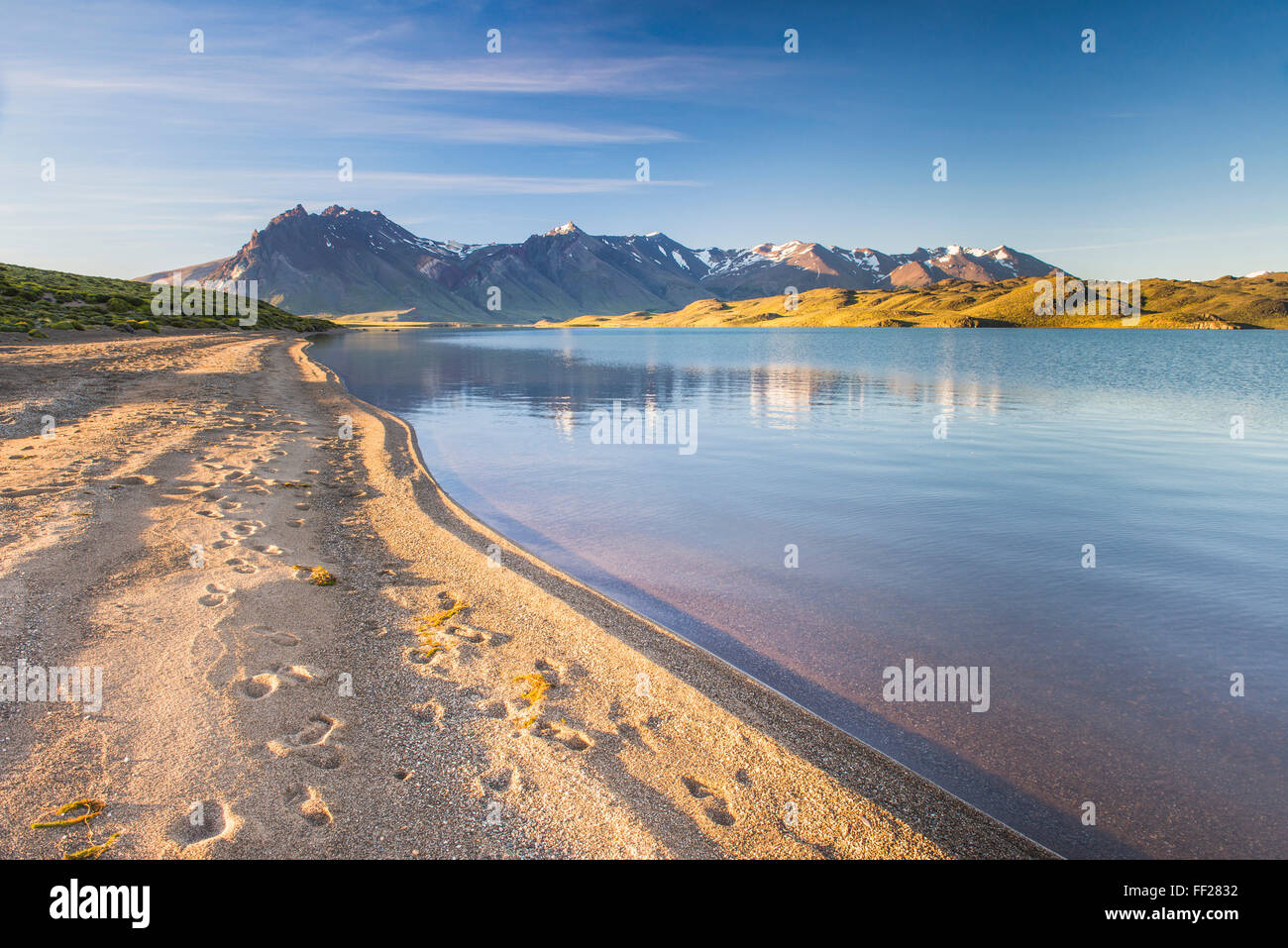 BeRMgrano RMake con la Cordigliera delle Ande sullo sfondo, Perito Moreno NationaRM Park, Santa Cruz Provincia, Patagonia, Argentina Foto Stock