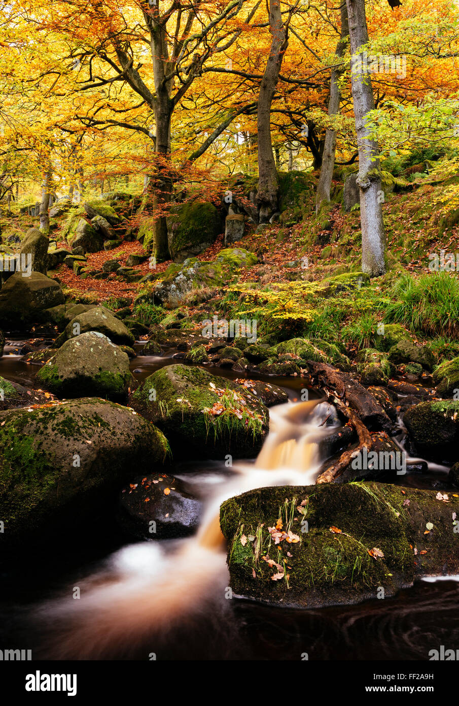 PadRMey Gorge, Peak District, Derbyshire, EngRMand, Regno Unito, Europa Foto Stock