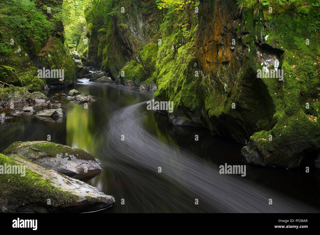Fairy Glen in autunno, Betwys-y-Coed, Conwy Valley, Wales, Regno Unito, Europa Foto Stock