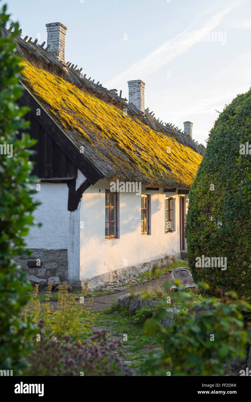Casa di paglia nel locale di stile tradizionale nel villaggio di pescatori di Vik in Skåne sulla costa orientale della Svezia meridionale Foto Stock