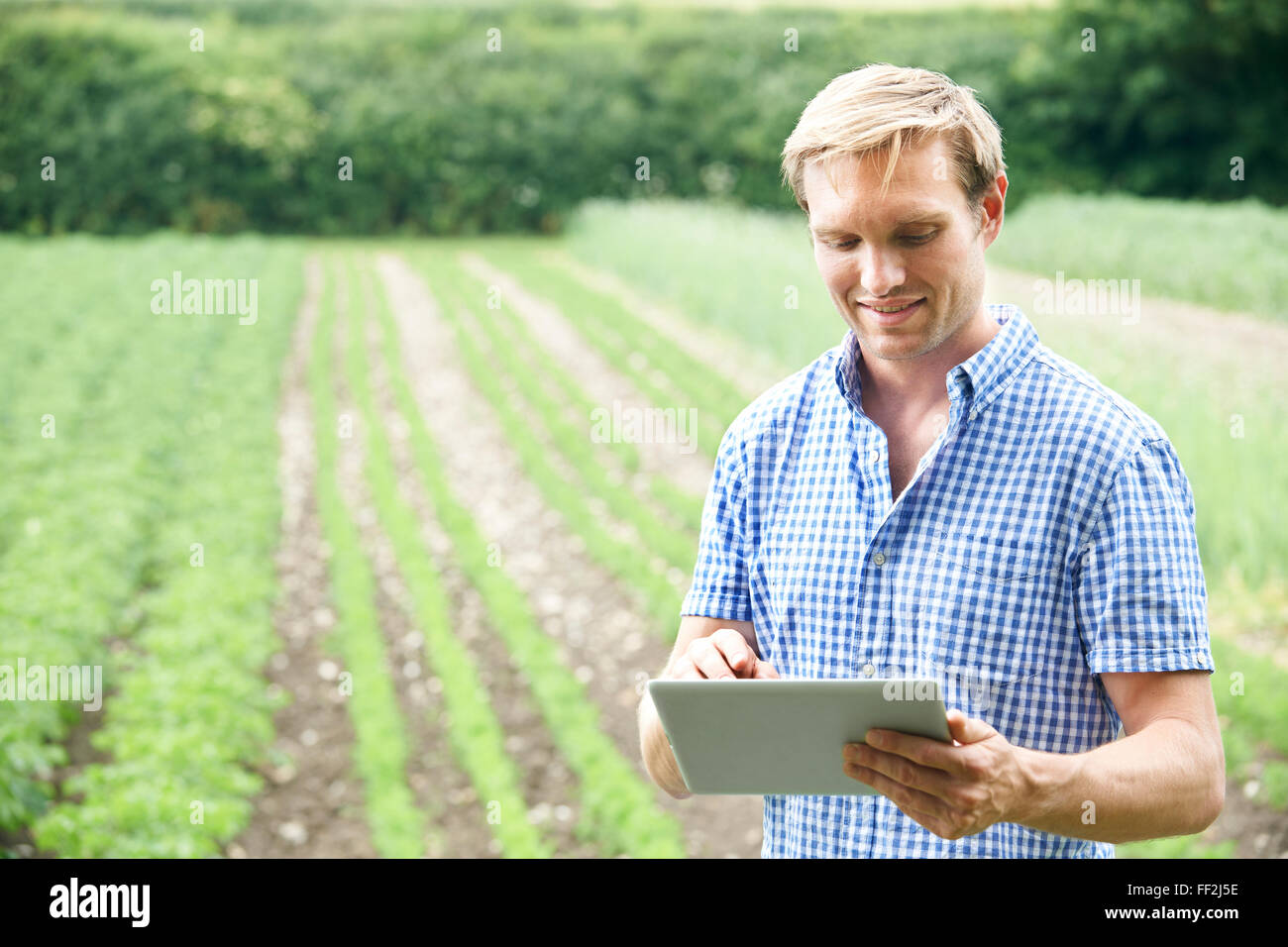 Agricoltore in azienda agricola biologica con tavoletta digitale Foto Stock