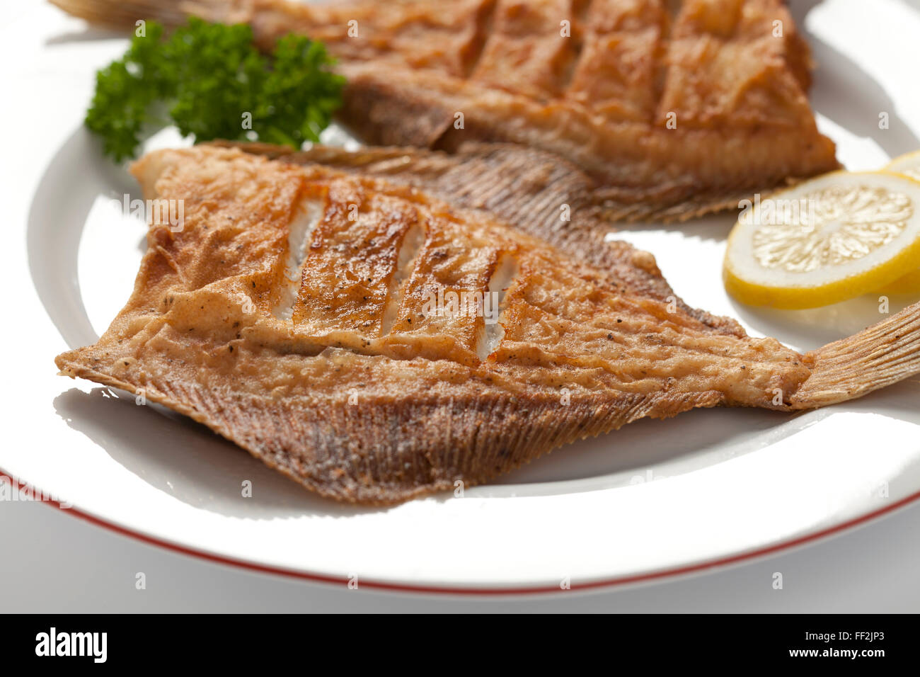 Il piatto con la passera di mare fritti, limone e prezzemolo Foto Stock