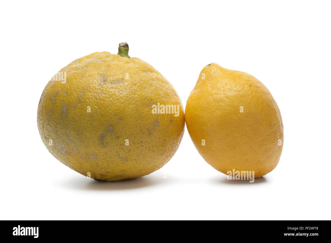 Il bergamotto fresco di arancia e di limone su sfondo bianco Foto Stock
