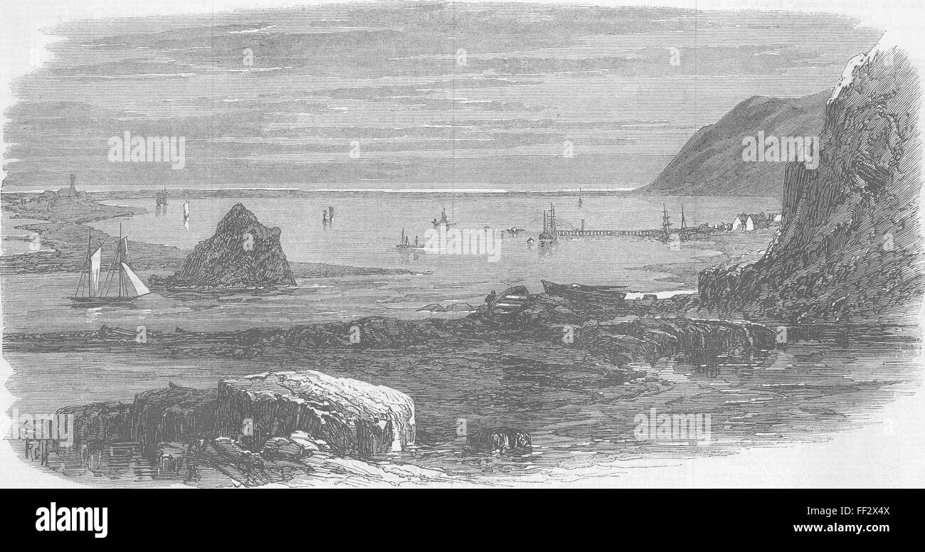 Nuova Zelanda frangiflutti naturale & Porto, Nelson 1868. Illustrated London News Foto Stock
