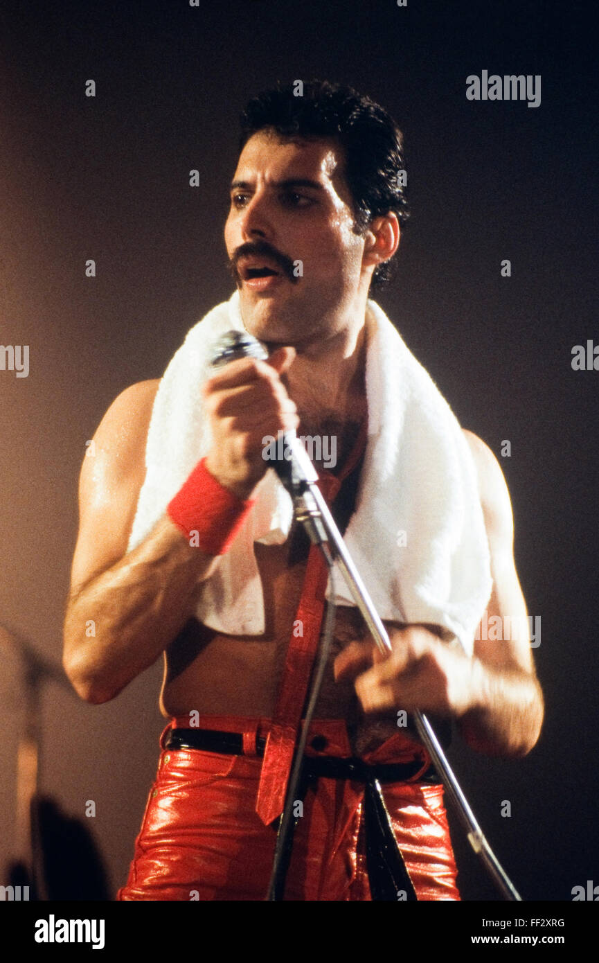LEIDEN, Paesi Bassi - Nov 27, 1980: Freddy Mercury cantante della band britannica regina durante un concerto nel Groenoordhallen Foto Stock