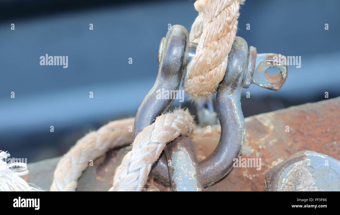 Tagliò vernice su un grillo collegato con funi in nylon Foto Stock