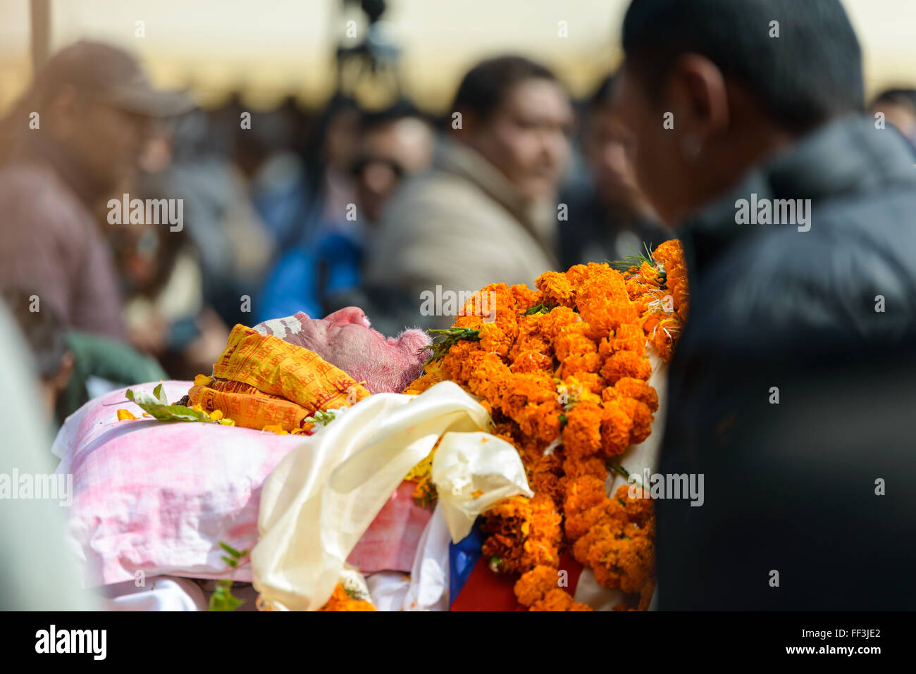 Dasharath Stadium, Kathmandu, Nepal. Il 10 febbraio, 2016. Persone che pagano la loro ultima rispetto a Sushil Koirala, Nepal ex Primo Ministro e Presidente del Congresso Nepalese partito politico. Credito: Dutourdumonde/Alamy Live News Foto Stock