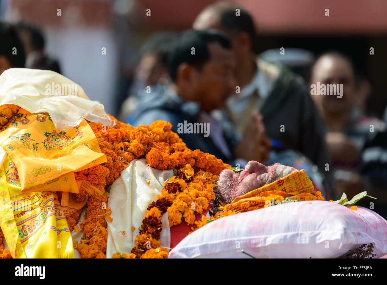 Dasharath Stadium, Kathmandu, Nepal. Il 10 febbraio, 2016. Persone che pagano la loro ultima rispetto a Sushil Koirala, Nepal ex Primo Ministro e Presidente del Congresso Nepalese partito politico. Credito: Dutourdumonde/Alamy Live News Foto Stock