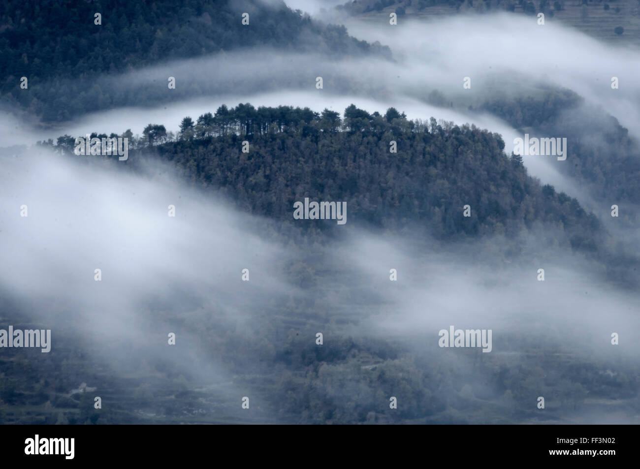 La nebbia che danzano sulla foresta , Osona , Catalogna , Spagna Foto Stock