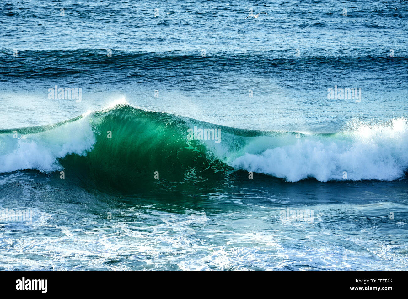 Onda di frantumazione in oceano a Fingal teste, entroterra della Gold Coast Foto Stock