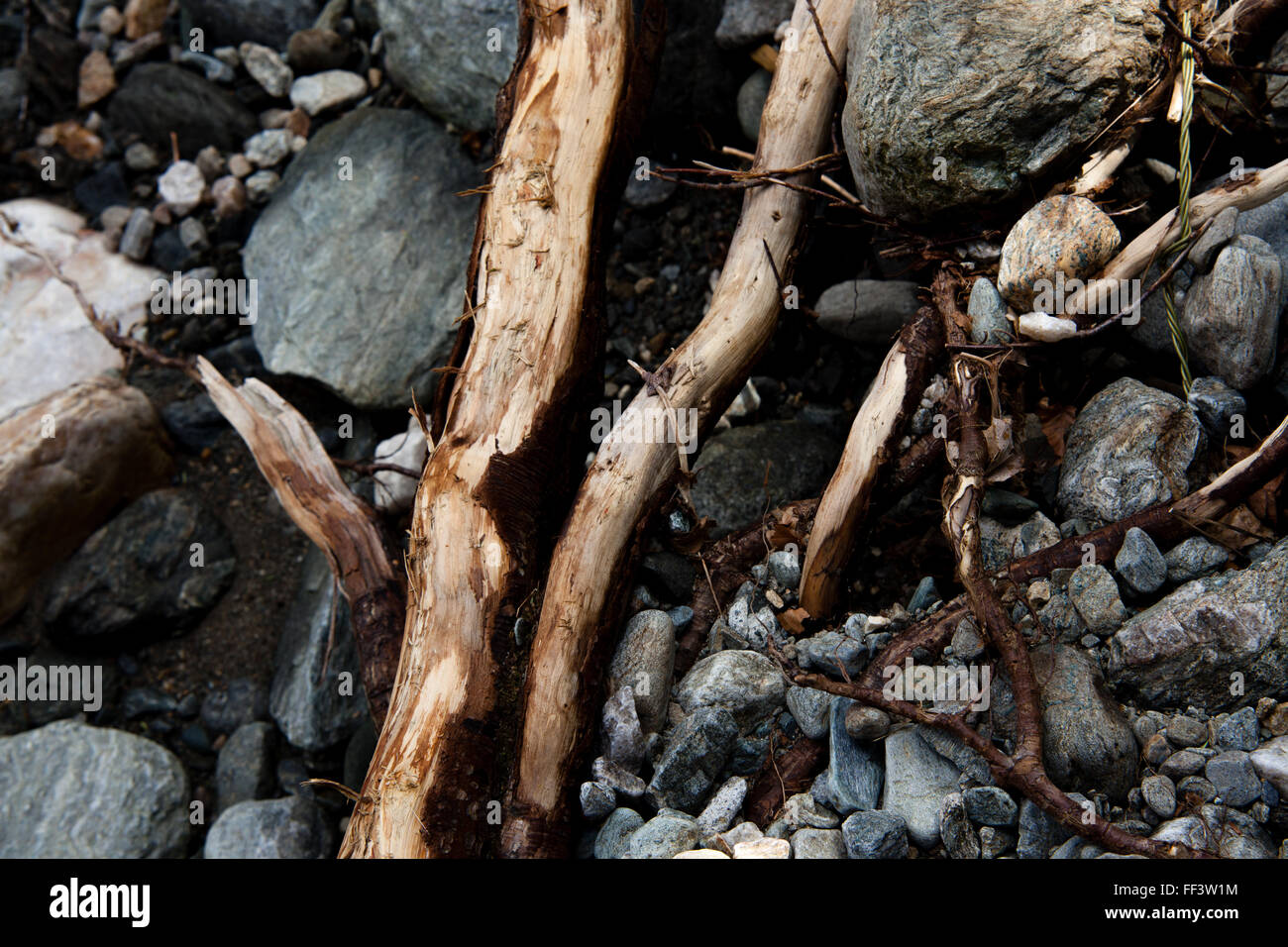 Pietre e bastoni sulla spiaggia Foto Stock