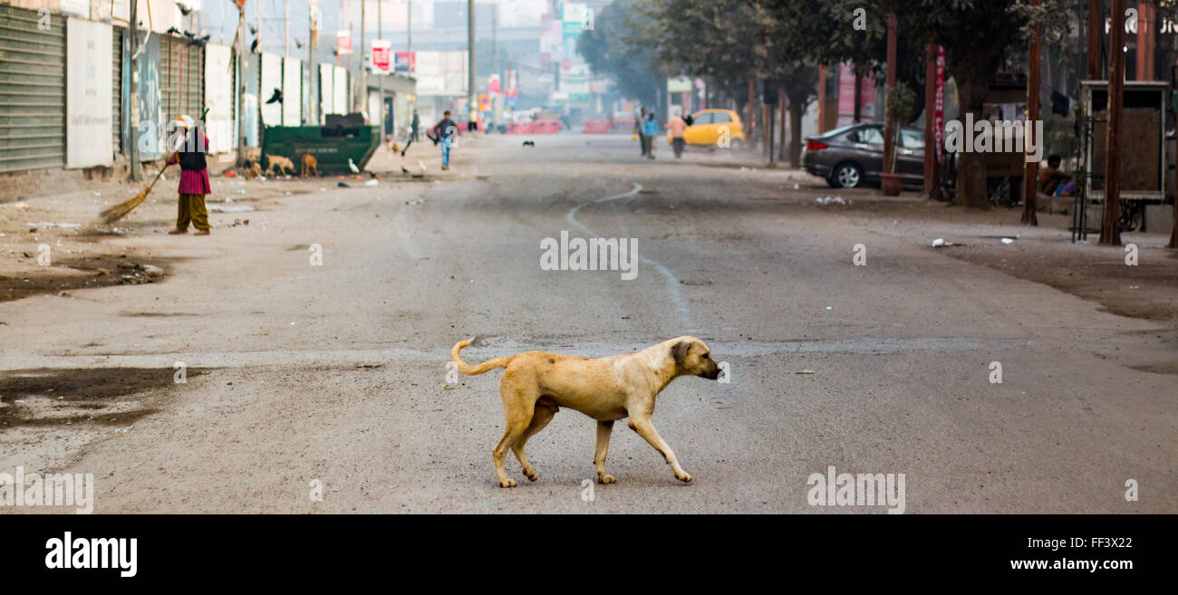 Dont mente me vi Foto Stock