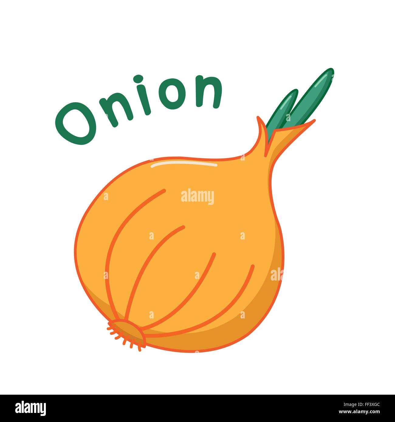 Icona di isolato di materie cipolla con nome Illustrazione Vettoriale