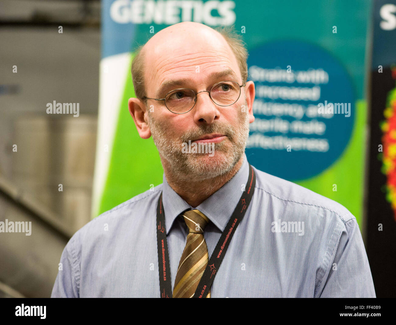 Seibersdorf, Austria. 10 Febbraio, 2016. Marc Vreysen, capo della AIEA laboratorio, presso l'Agenzia internazionale dell'energia atomica in Seibersdorf, Austria, 10 febbraio 2016. I maschi degli insetti che trasmettono malattie come Zika, di dengue e di febbre gialla, sono destinati ad essere sterilizzati in questa posizione. Foto: JAN GOTT/dpa/Alamy Live News Foto Stock