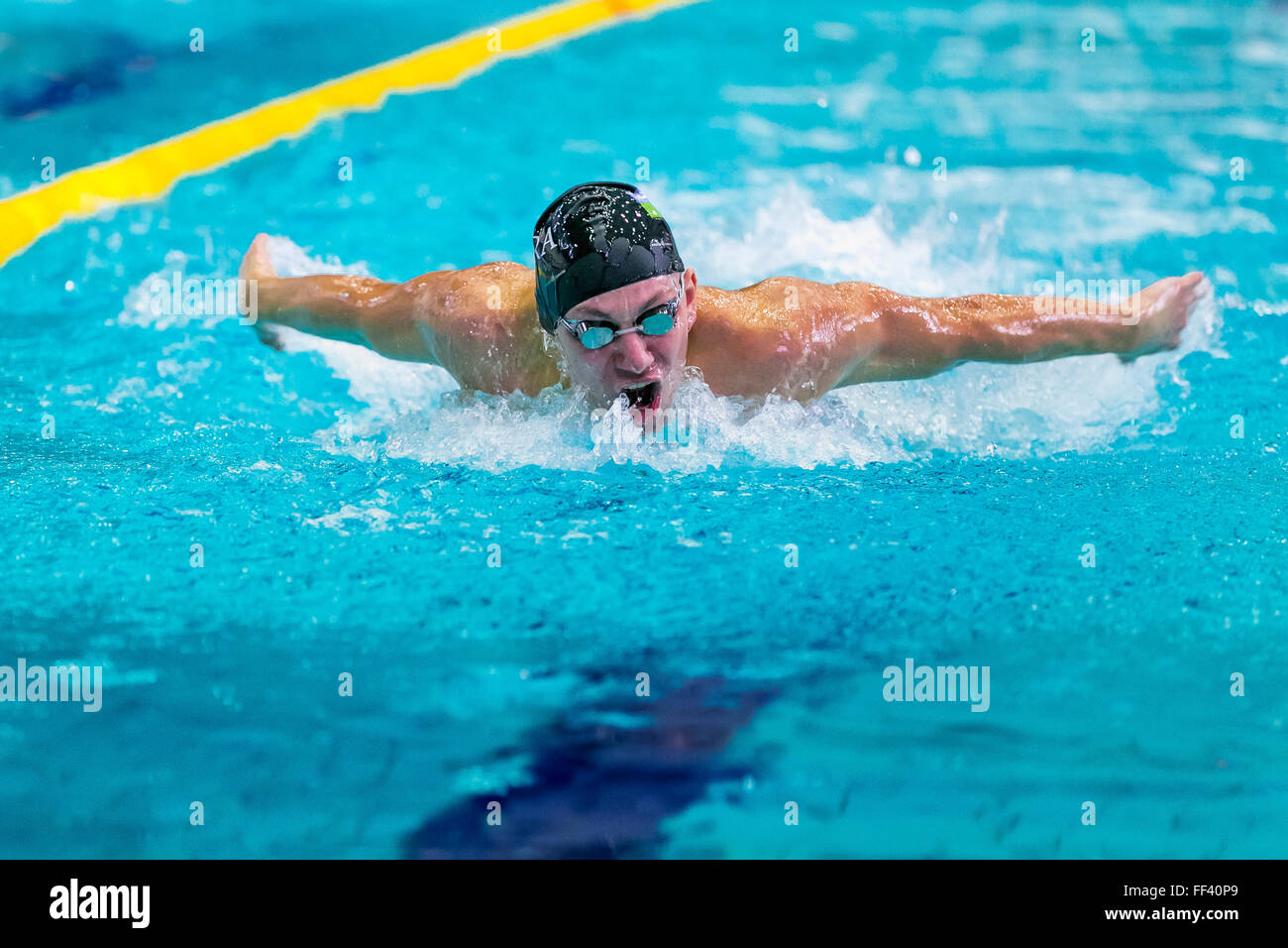 Chelyabinsk, Russia - 2 Febbraio 2016: nuotatore atleta di nuoto corsa farfalla in piscina Foto Stock