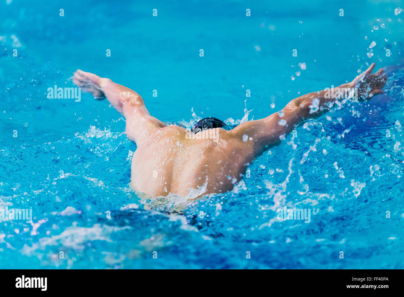 Giovane atleta nuotatore nuoto nella piscina butterfly. vista posteriore Foto Stock