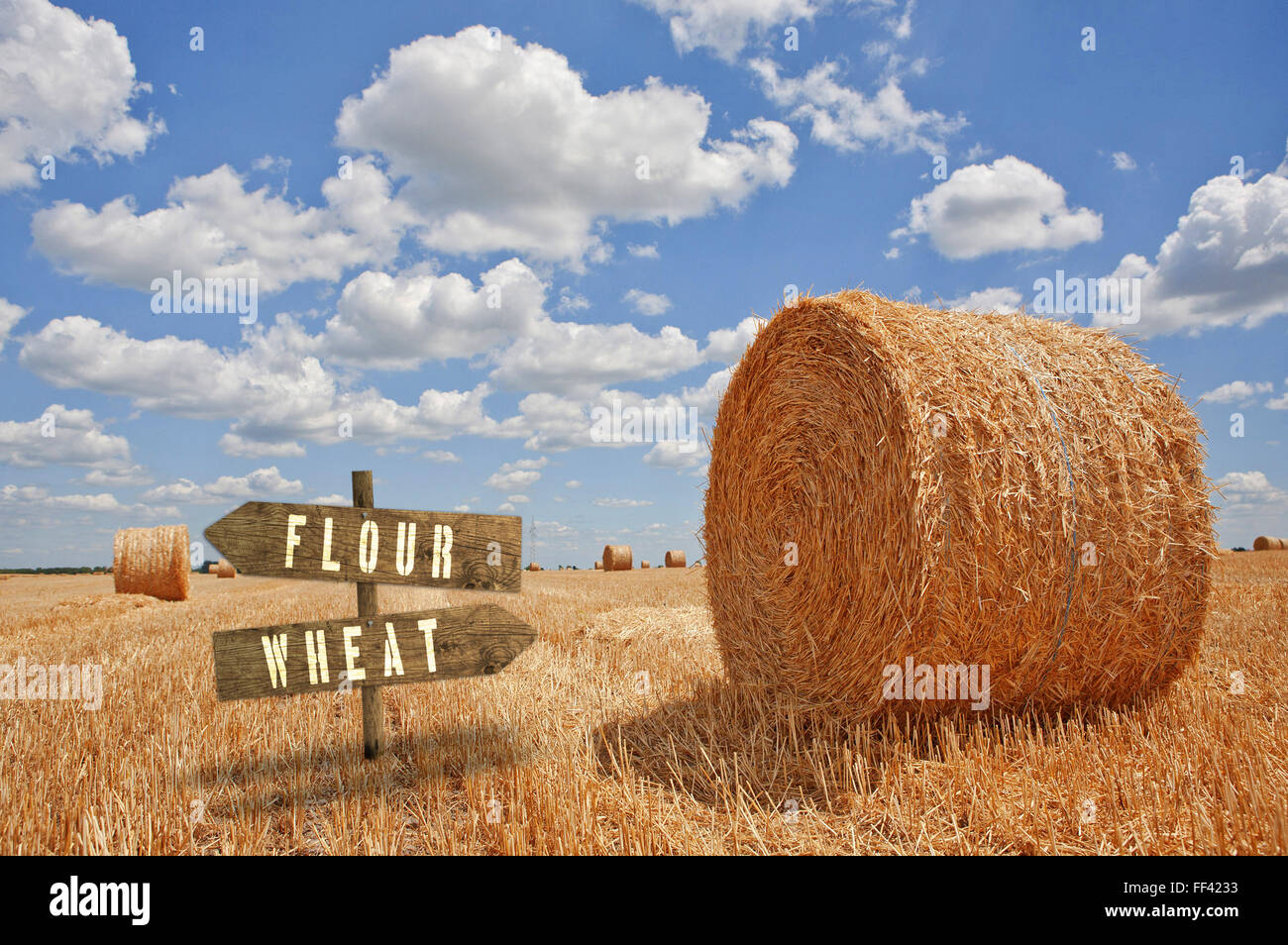 La farina di frumento o direzione di legno segno in campo agricolo. Foto Stock