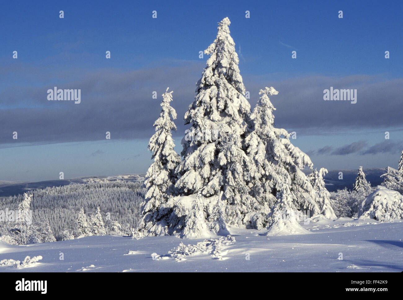 DEU, Germania, regione di Sauerland, inverno in montagna Kahlen Asten vicino alla città di Winterberg. DEU, Germania Sauerland, inverno Foto Stock
