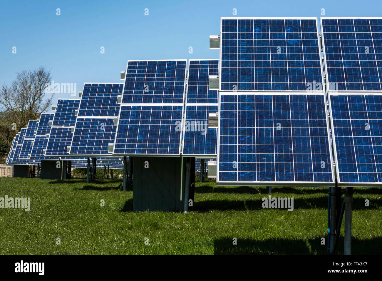 Righe di pannelli solari fotovoltaici in un campo per la produzione di energia elettrica. Energia rinnovabile in St Albans, Cornwall, Regno Unito. Foto Stock