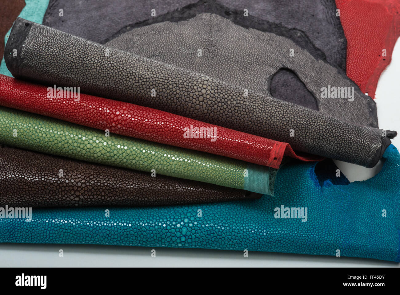 Stingray esotiche della pelle, cuoio e pelli in 5 colori Foto Stock