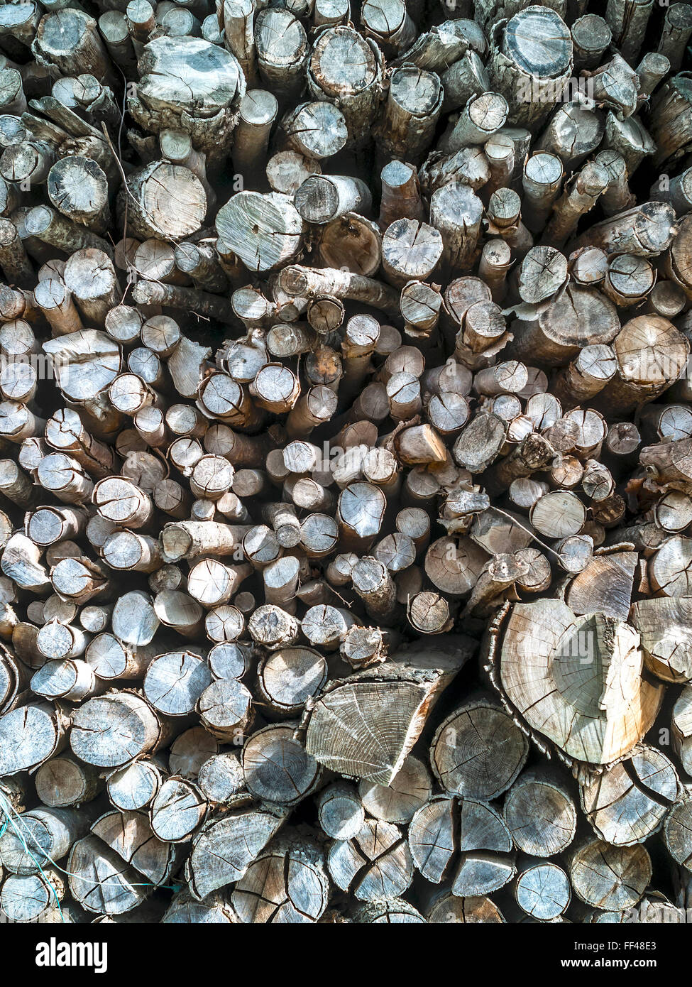 Palo di legno / logs per uso domestico di legna da ardere, Francia. Foto Stock