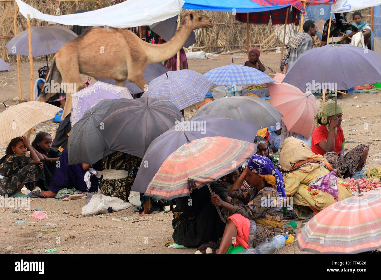 SENBETE, ETIOPIA-marzo 24: le donne di oromos-amharas-afar frequentare il mercato della domenica dove si riuniscono per il business-camel passin Foto Stock