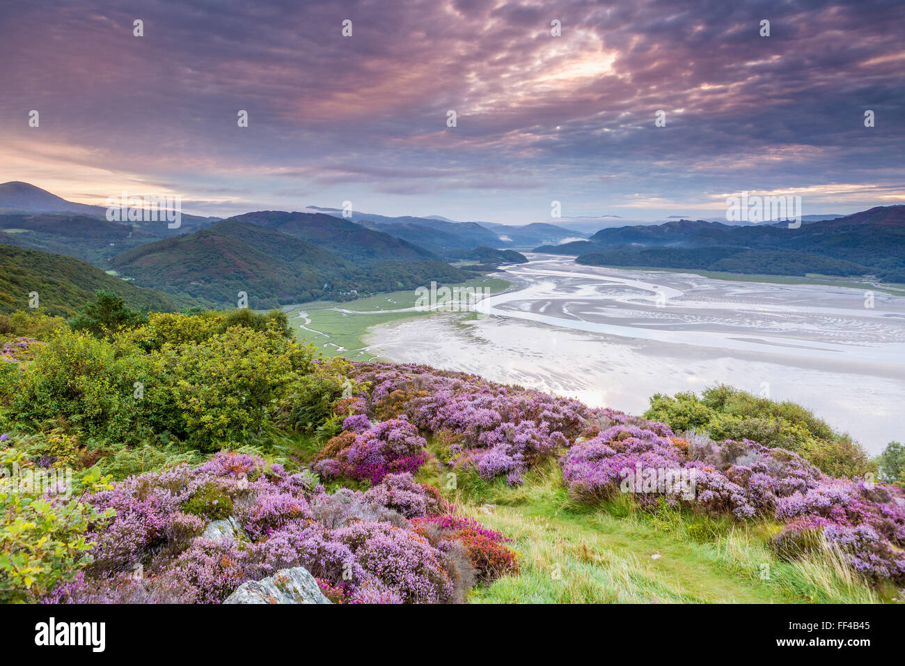 Mawddach Estuary visto dal Panorama a piedi sopra Barmouth, Gwynedd, Wales, Regno Unito, Europa. Foto Stock