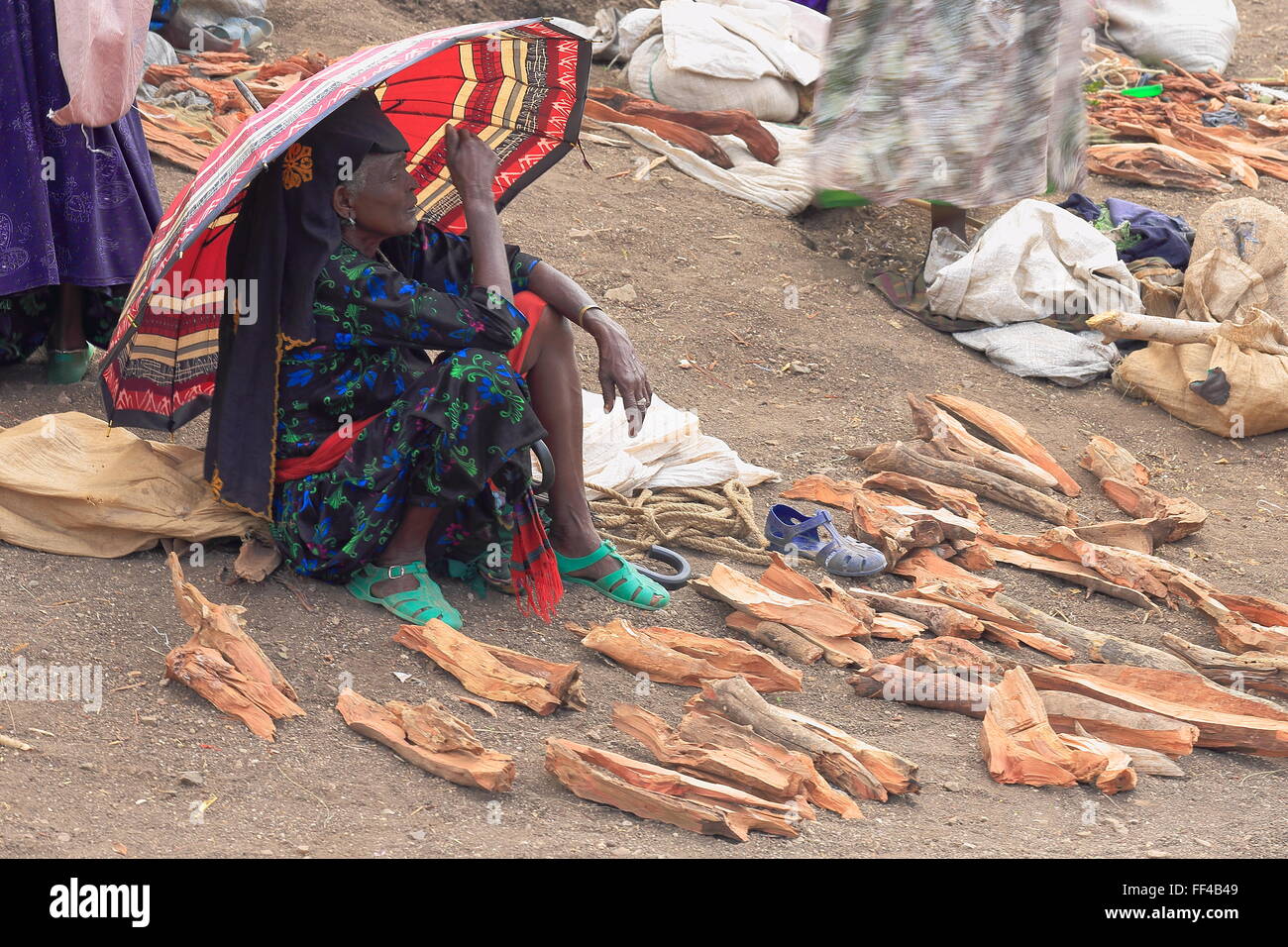 SENBETE, ETIOPIA-marzo 24:vecchia donna della oromos vende legna da ardere presso il mercato della domenica dove la oromo-amhara-lontano i popoli incontrano Foto Stock