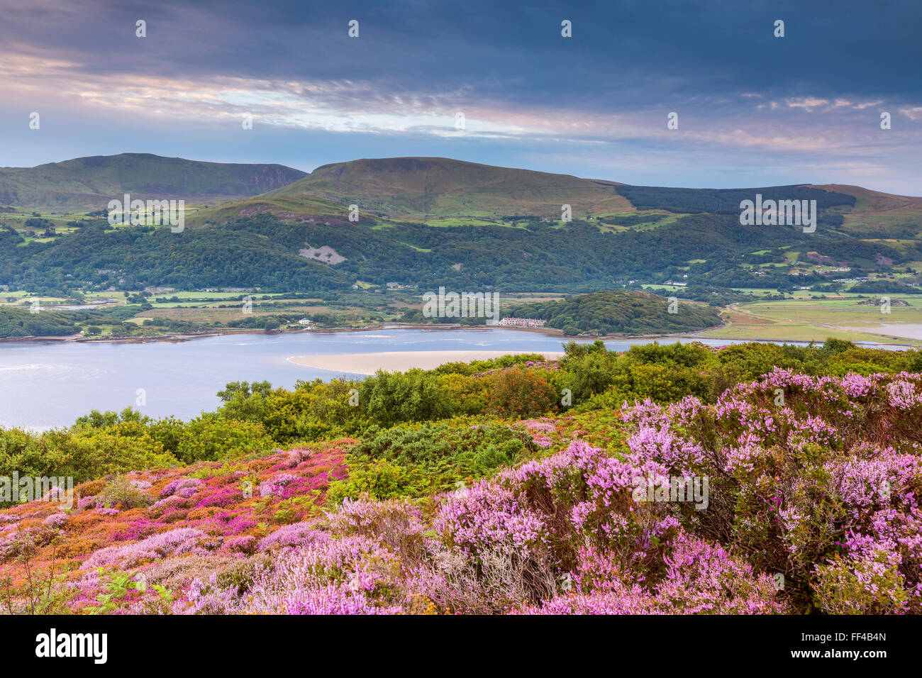 Mawddach Estuary visto dal Panorama a piedi sopra Barmouth, Gwynedd, Wales, Regno Unito, Europa. Foto Stock