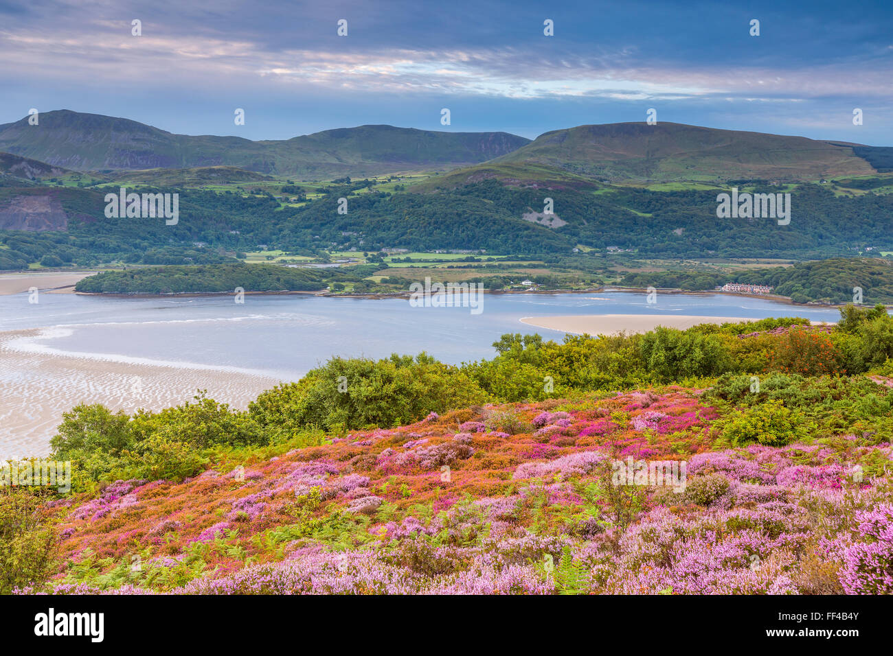 Mawddach Estuary visto dal Panorama a piedi sopra Barmouth, Gwynedd, Wales, Regno Unito, Europa. Foto Stock