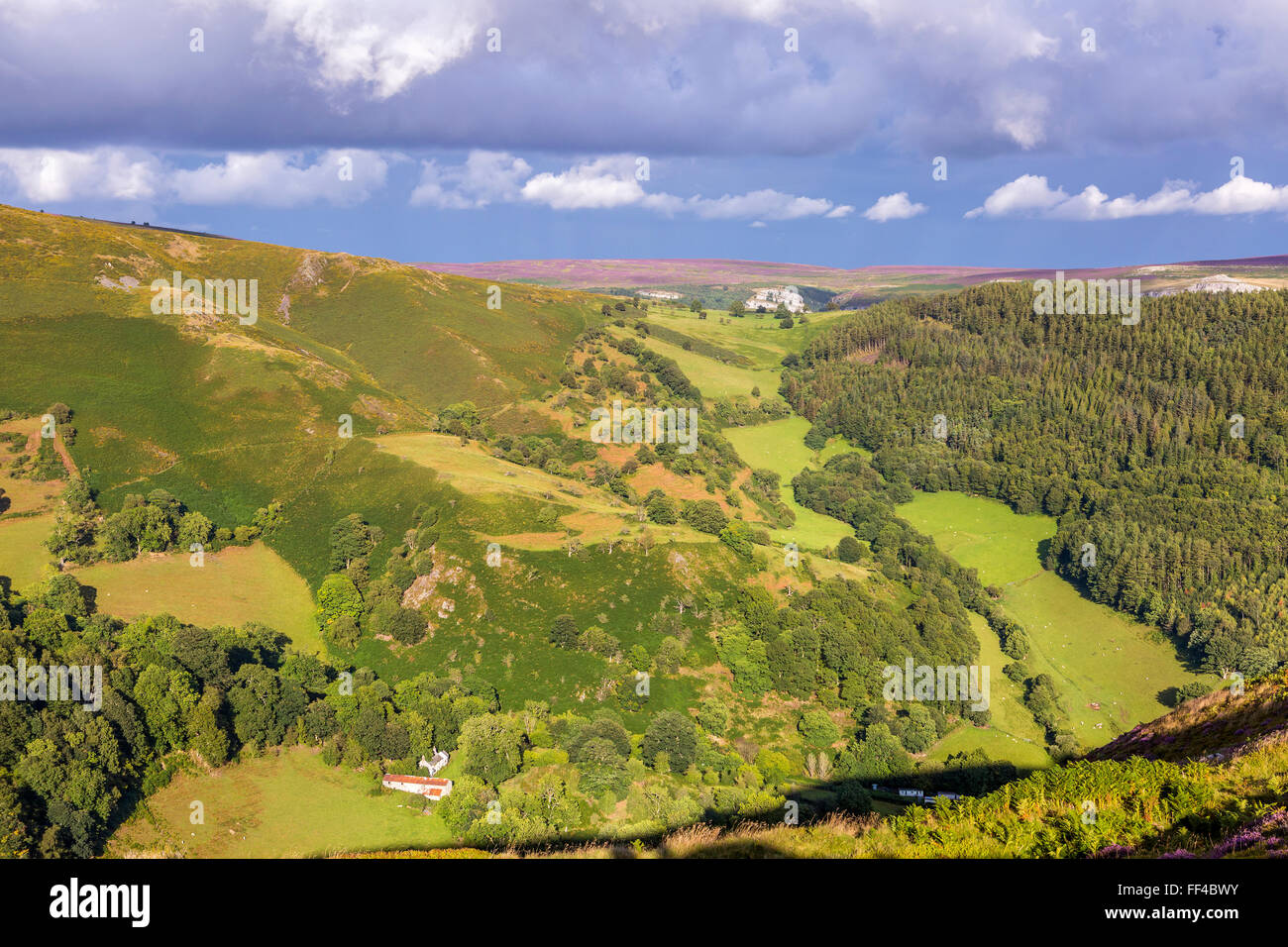 Montagna Maesyrychen visto da passare a ferro di cavallo, Llandegla, Denbighshire, Wales, Regno Unito, Europa. Foto Stock
