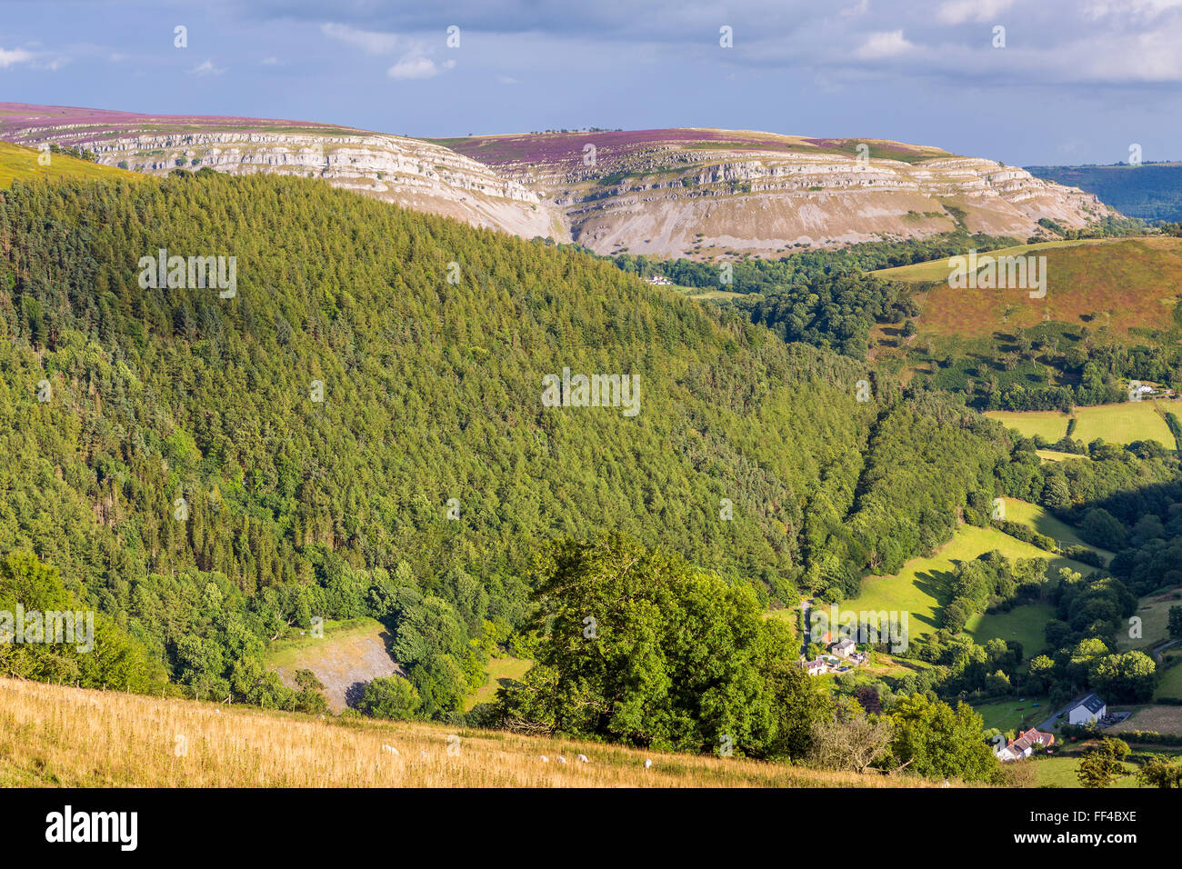 Montagna Maesyrychen visto da passare a ferro di cavallo, Llandegla, Denbighshire, Wales, Regno Unito, Europa. Foto Stock